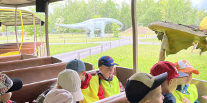 DinoPark - 1748595954_IMG_4024.jpeg