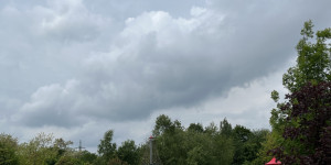DinoPark - 1748595991_IMG_4029.jpeg
