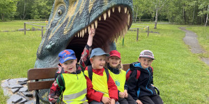 DinoPark - 1748596008_IMG_4040.jpeg