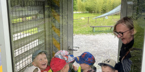 DinoPark - 1748596090_IMG_4073.jpeg