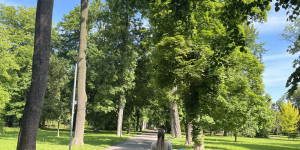 výlet do městských sadů - 1748596233_IMG_4190.jpeg