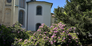 výlet do městských sadů - 1749039678_IMG_4260.jpeg