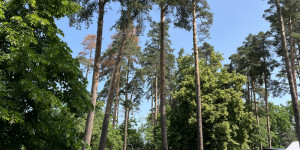 výlet do arboreta ve Stěbořicích - 1749039629_IMG_4718.jpeg