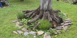 Česko polské setkání s motýly - 1749407547_IMG_3732.jpeg