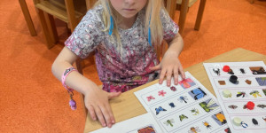 Hmyzí svět - 1749408143_28bb457e-230b-4857-9936-8120e34a94e8.jpeg