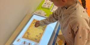 Hmyzí svět - 1749408147_e5b33cf4-0c72-4971-9224-c64ad2ebbf71.jpeg