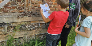 Včelí stezka - 1749649811_1000045249.jpg