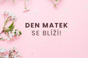 Náhledový obrázek