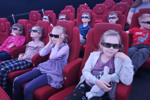 Náhledový obrázek